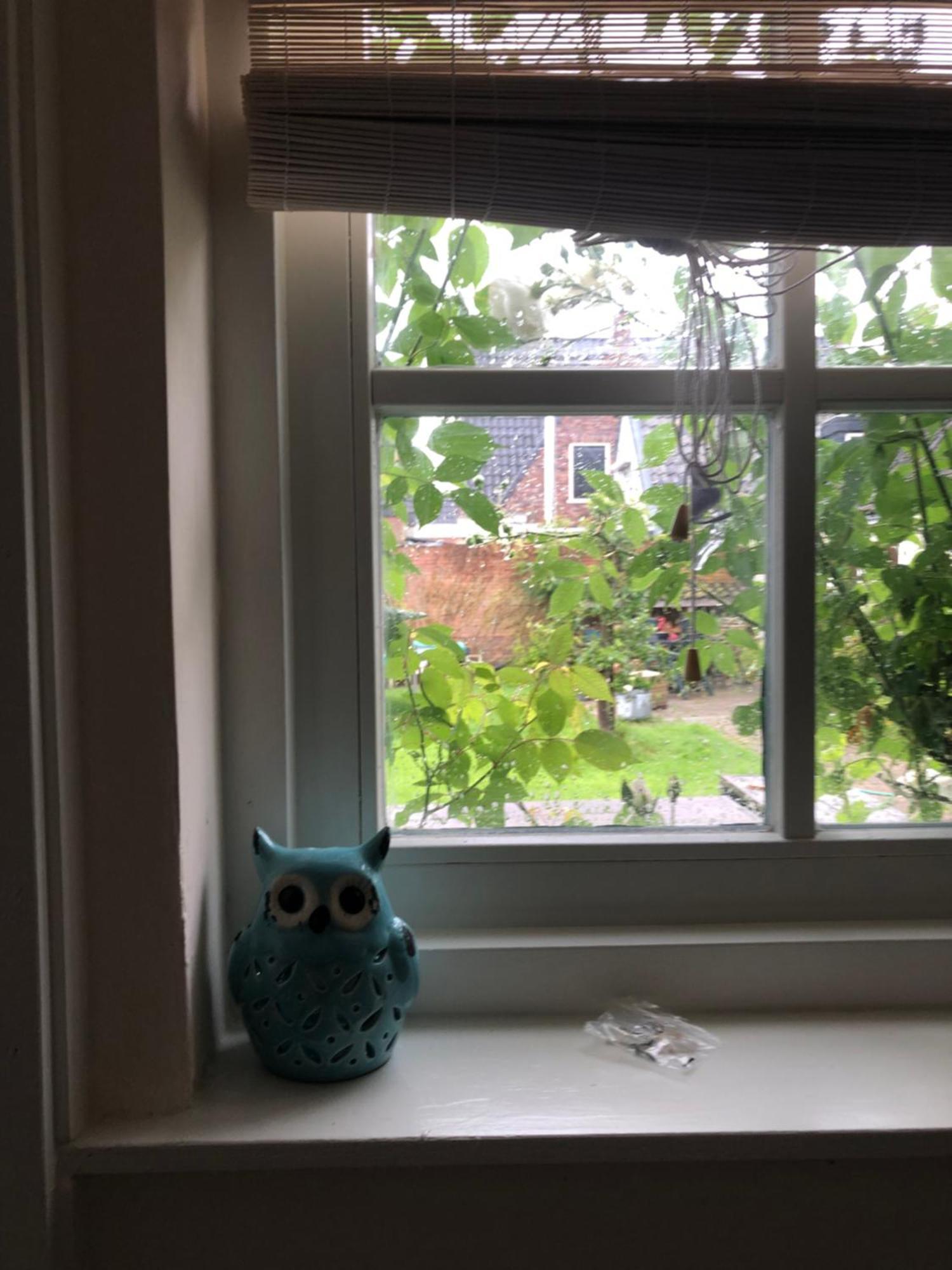 Appartement In Schuur Twisk Eksteriør bilde