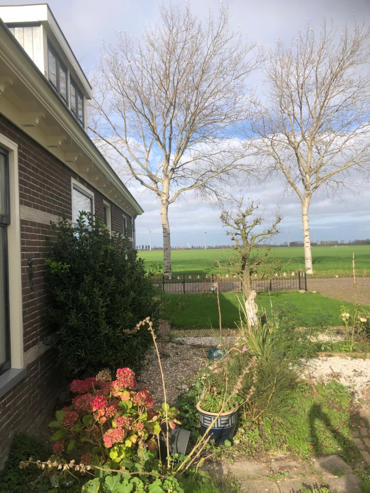 Appartement In Schuur Twisk Eksteriør bilde